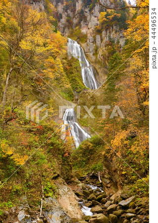 紅葉と羽衣の滝 44496534