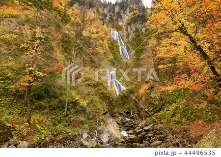 紅葉と羽衣の滝 紅葉と羽衣の滝 44496535