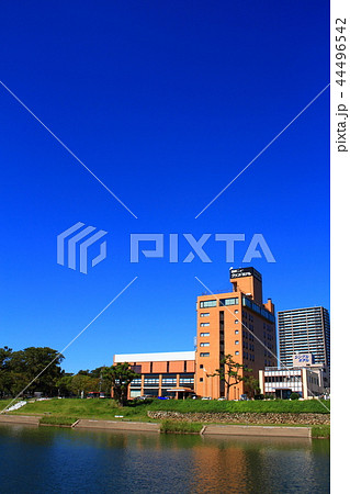 岡崎市　都市風景 44496542