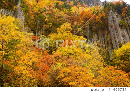 紅葉と柱状節理・天人峡 44496735