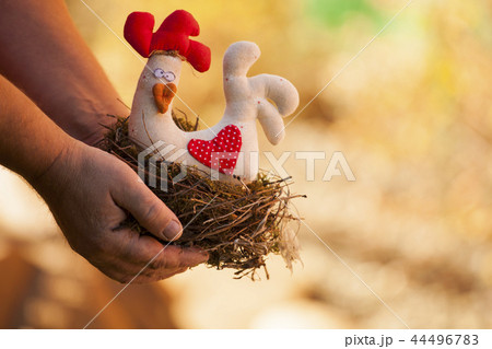 man hands nest Toy Chicken  44496783