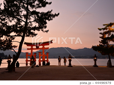 夕暮れの宮島 夕暮れの宮島 44496979