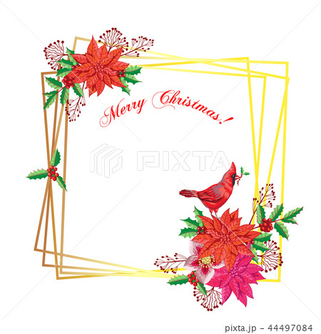 Christmas decoration with Bird and Poinsettia 44497084