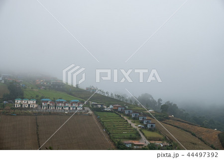 Landscape of mountain and resort at Phu Tub Berk. Landscape of mountain and resort at Phu Tub Berk. 44497392