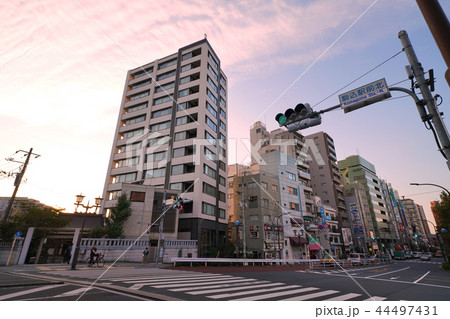 日本の東京都市景観 「駒込駅前北」など、街並みを望む(駒込駅前の街並み) 日本の東京都市景観 「駒込駅前北」など、街並みを望む(駒込駅前の街並み) 44497431