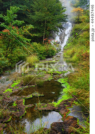 9月　ﾁｬﾂﾎﾞﾐｺﾞｹ公園13湯滝 44497446
