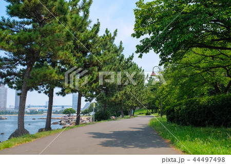 お台場海浜公園 遊歩道 44497498