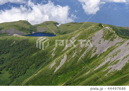 盛夏の白馬大池 44497686