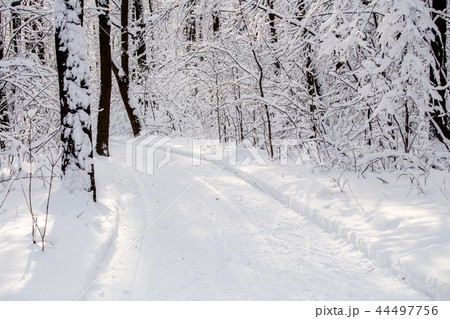 Picture of winter trees with snow and blue sky Picture of winter trees with snow and blue sky 44497756