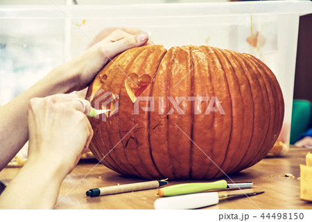 Women's hands who cuts jack-o-lantern with knife Women's hands who cuts jack-o-lantern with knife 44498150
