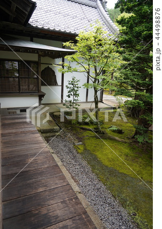 前山寺(国重要文化財三重塔) 前山寺(国重要文化財三重塔) 44498876