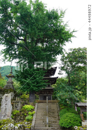 前山寺（国重要文化財三重塔） 44498972