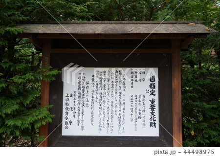 前山寺（国重要文化財三重塔） 44498975