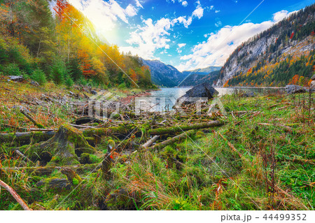 Beautiful view of idyllic colorful autumn scenery 44499352