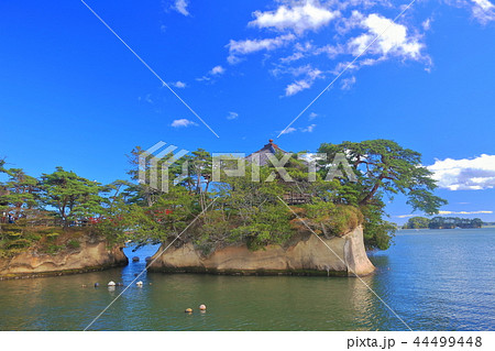 晴天下の松島五大堂 晴天下の松島五大堂 44499448