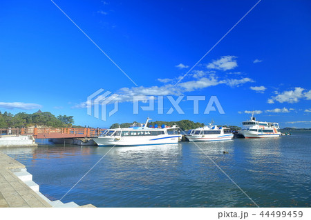 松島島巡り観光船 44499459