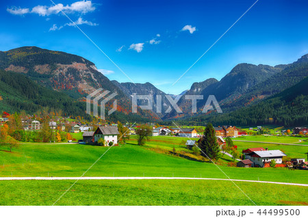 Alpine green fields and traditional wooden houses 44499500