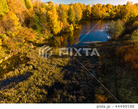 Nizhny Kamensky pond in autumn in Zelenograd in Moscow. Russia 44499586