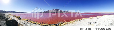 Laguna Colorada view, Bolivia. Bolivian landscape Laguna Colorada view, Bolivia. Bolivian landscape 44500380