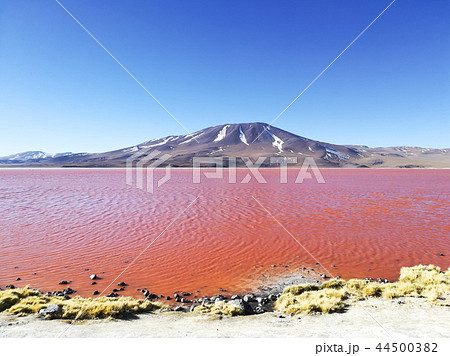 Laguna Colorada view, Bolivia. Bolivian landscape Laguna Colorada view, Bolivia. Bolivian landscape 44500382