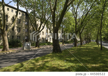 ドイツ・ベルリンのモダニズム集合住宅群:グロースジードルング・ブリッツ ドイツ・ベルリンのモダニズム集合住宅群:グロースジードルング・ブリッツ 44500522