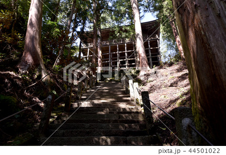 室生寺　奥の院 44501022