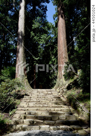 室生寺　奥の院参道 44501024