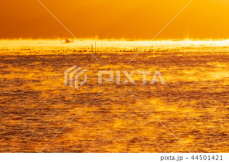 瀬戸内の朝 毛嵐の海 瀬戸内の朝 毛嵐の海 44501421