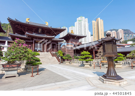 香港 志蓮淨苑 香港 志蓮淨苑 44501845