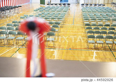 壇上から見た式典会場 壇上から見た式典会場 44502026