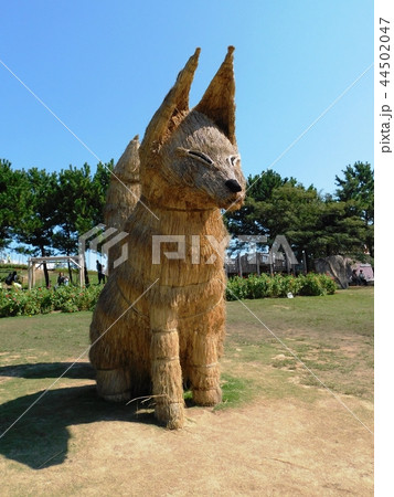 山口ゆめ花博の藁で作った大きな狐の像 44502047