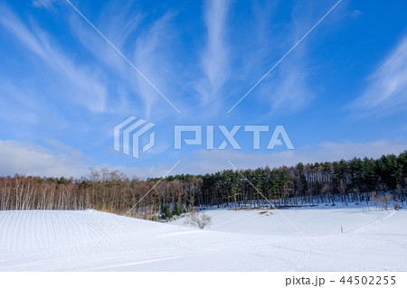 雪原 44502255