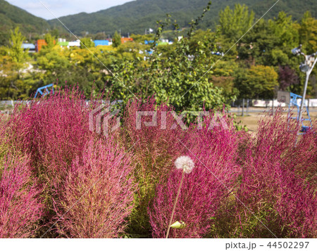 公州市 忠南 44502297