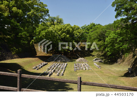 熊本城　お堀 44503170