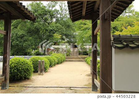 松平東照宮 松平郷 豊田市 松平東照宮 松平郷 豊田市 44503228
