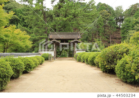 松平東照宮 松平郷 豊田市 松平東照宮 松平郷 豊田市 44503234