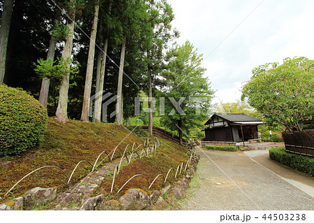 松平東照宮 松平郷 豊田市 松平東照宮 松平郷 豊田市 44503238