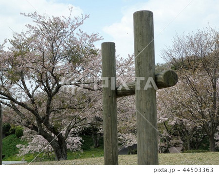竜王山公園－桜 44503363