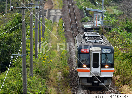 伊勢鉄道を走るキハ75　快速みえ 44503448