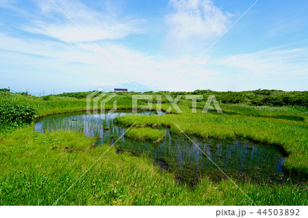 月山弥陀ヶ原　東北　山形県 44503892