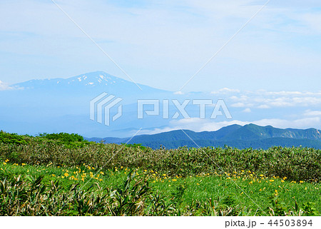 月山弥陀ヶ原 東北 山形県 月山弥陀ヶ原 東北 山形県 44503894