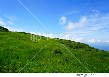 月山弥陀ヶ原 東北 山形県 月山弥陀ヶ原 東北 山形県 44503903