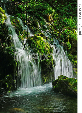 鳥海山 元滝伏流水 44503971
