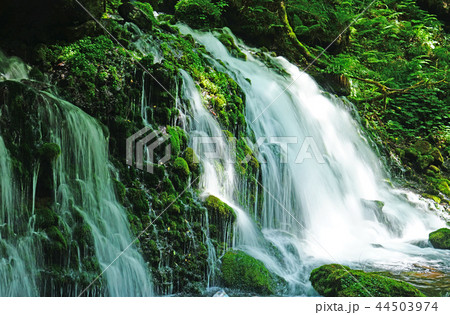 鳥海山 元滝伏流水 44503974