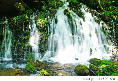 鳥海山 元滝伏流水 鳥海山 元滝伏流水 44503978