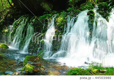 鳥海山 元滝伏流水 鳥海山 元滝伏流水 44503980