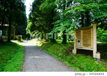 獅子ヶ鼻湿原 東北 秋田県 獅子ヶ鼻湿原 東北 秋田県 44504644