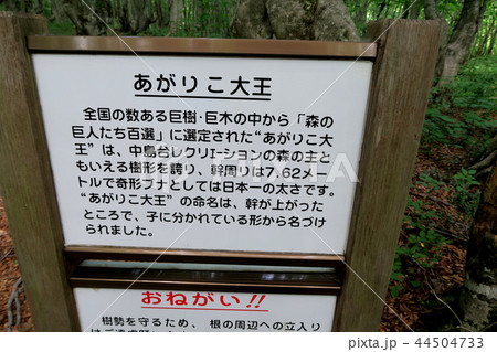 獅子ヶ鼻湿原　東北　秋田県 44504733