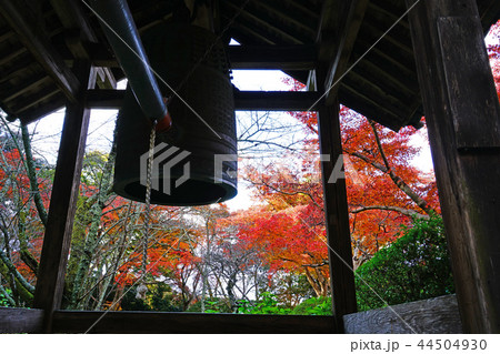 長岳寺 紅葉 奈良県 長岳寺 紅葉 奈良県 44504930