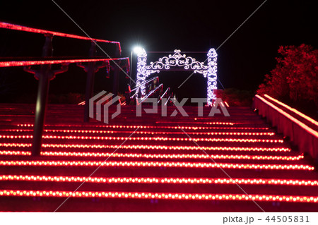 イルミネーション 44505831